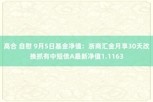 高合 自慰 9月5日基金净值：浙商汇金月享30天改换抓有中短债A最新净值1.1163