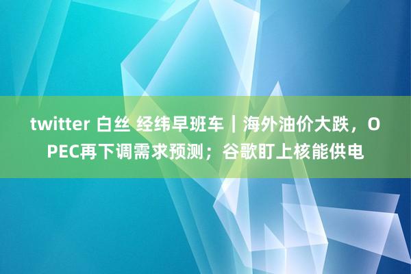 twitter 白丝 经纬早班车｜海外油价大跌，OPEC再下调需求预测；谷歌盯上核能供电