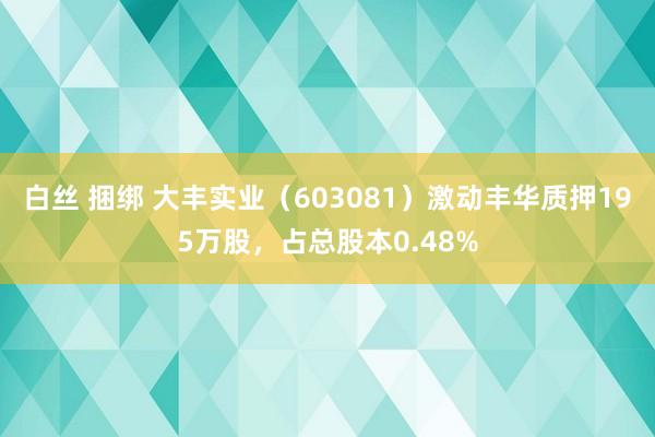 白丝 捆绑 大丰实业（603081）激动丰华质押195万股，占总股本0.48%