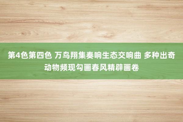 第4色第四色 万鸟翔集奏响生态交响曲 多种出奇动物频现勾画春风精辟画卷