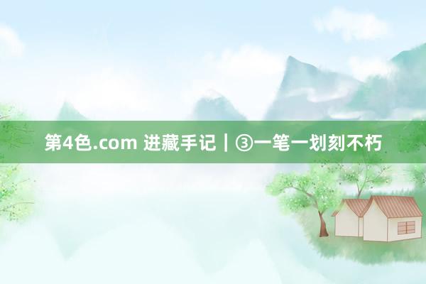 第4色.com 进藏手记｜③一笔一划刻不朽