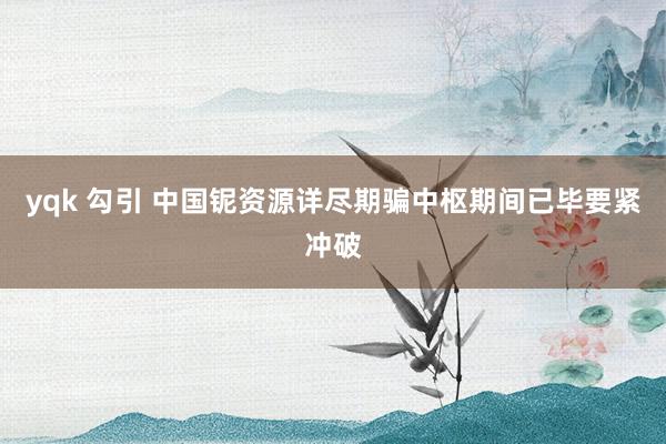 yqk 勾引 中国铌资源详尽期骗中枢期间已毕要紧冲破