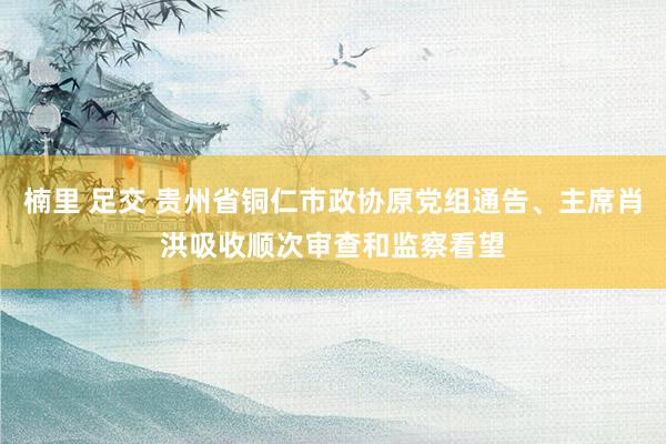 楠里 足交 贵州省铜仁市政协原党组通告、主席肖洪吸收顺次审查和监察看望