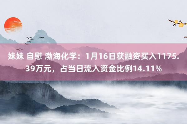 妹妹 自慰 渤海化学：1月16日获融资买入1175.39万元，占当日流入资金比例14.11%