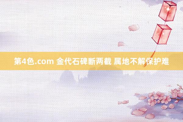 第4色.com 金代石碑断两截 属地不解保护难