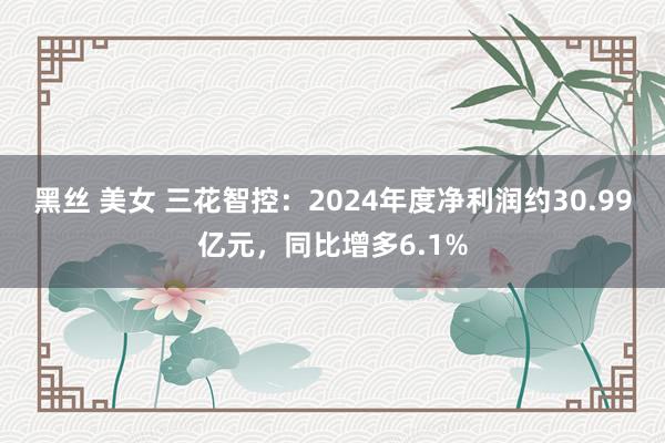 黑丝 美女 三花智控：2024年度净利润约30.99亿元，同比增多6.1%