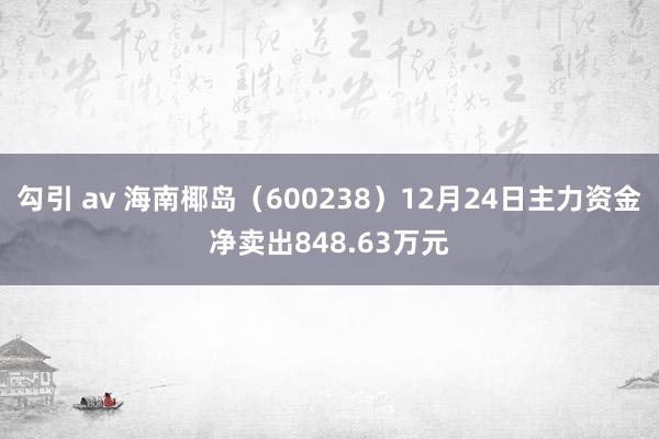 勾引 av 海南椰岛（600238）12月24日主力资金净卖出848.63万元