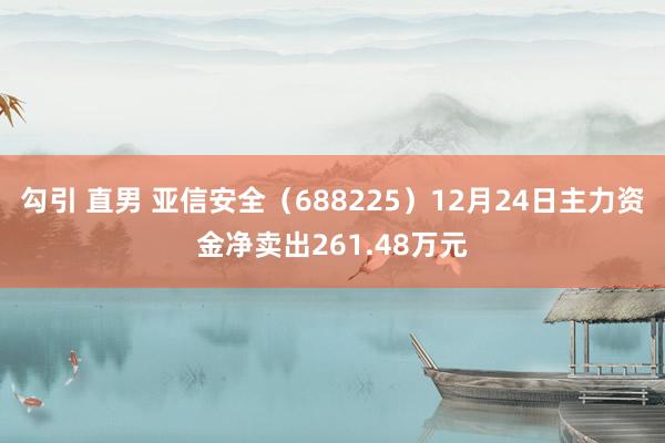 勾引 直男 亚信安全（688225）12月24日主力资金净卖出261.48万元