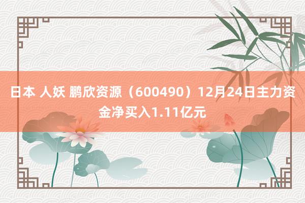 日本 人妖 鹏欣资源（600490）12月24日主力资金净买入1.11亿元