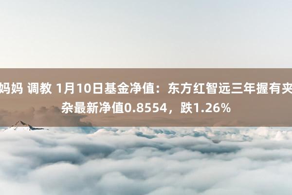 妈妈 调教 1月10日基金净值：东方红智远三年握有夹杂最新净值0.8554，跌1.26%