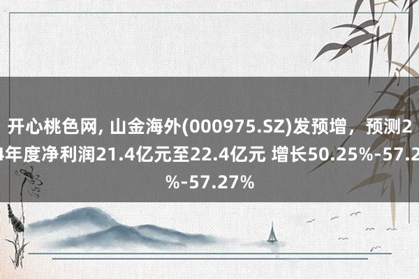 开心桃色网， 山金海外(000975.SZ)发预增，预测2024年度净利润21.4亿元至22.4亿元 增长50.25%-57.27%