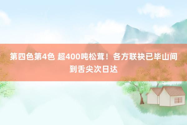 第四色第4色 超400吨松茸！各方联袂已毕山间到舌尖次日达