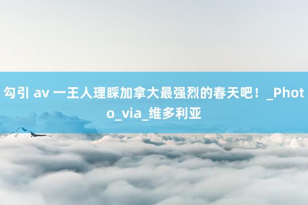 勾引 av 一王人理睬加拿大最强烈的春天吧！_Photo_via_维多利亚
