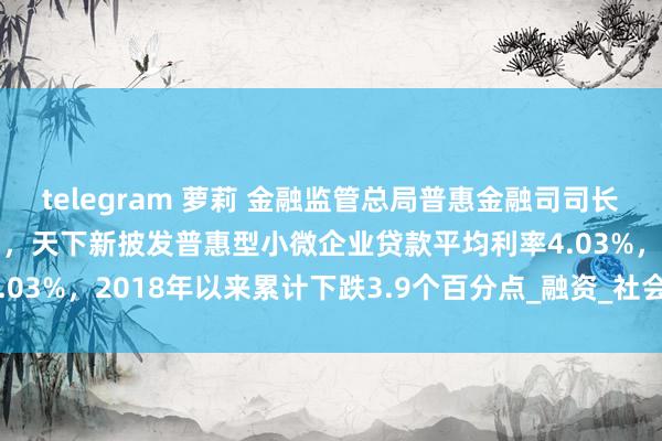telegram 萝莉 金融监管总局普惠金融司司长蒋平：2025年前两个月，天下新披发普惠型小微企业贷款平均利率4.03%，2018年以来累计下跌3.9个百分点_融资_社会信用体系_责任