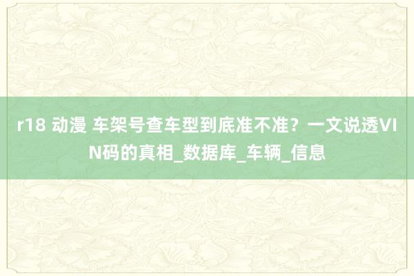 r18 动漫 车架号查车型到底准不准？一文说透VIN码的真相_数据库_车辆_信息