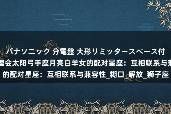 パナソニック 分電盤 大形リミッタースペース付 露出・半埋込両用形 理会太阳弓手座月亮白羊女的配对星座：互相联系与兼容性_糊口_解放_狮子座