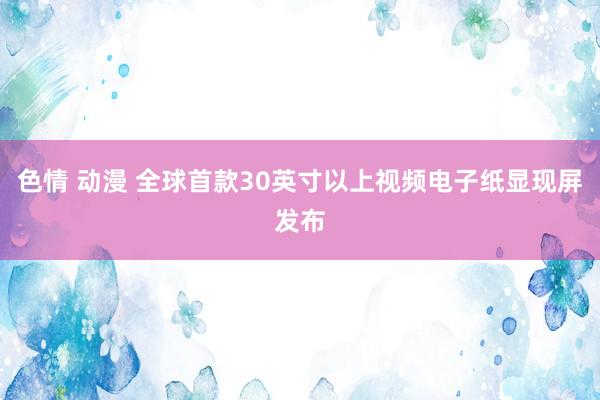 色情 动漫 全球首款30英寸以上视频电子纸显现屏发布