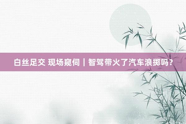 白丝足交 现场窥伺｜智驾带火了汽车浪掷吗？