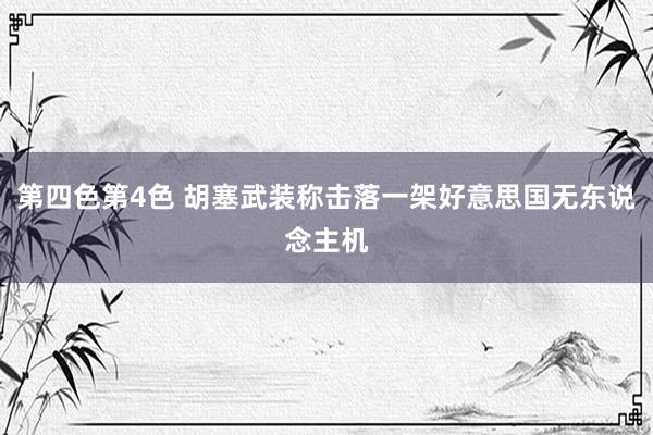 第四色第4色 胡塞武装称击落一架好意思国无东说念主机