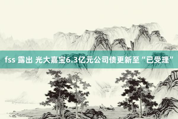 fss 露出 光大嘉宝6.3亿元公司债更新至“已受理”