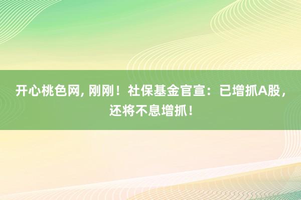 开心桃色网， 刚刚！社保基金官宣：已增抓A股，还将不息增抓！