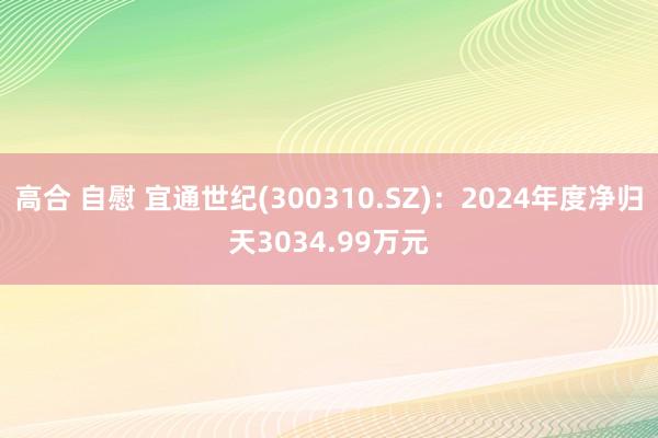 高合 自慰 宜通世纪(300310.SZ)：2024年度净归天3034.99万元