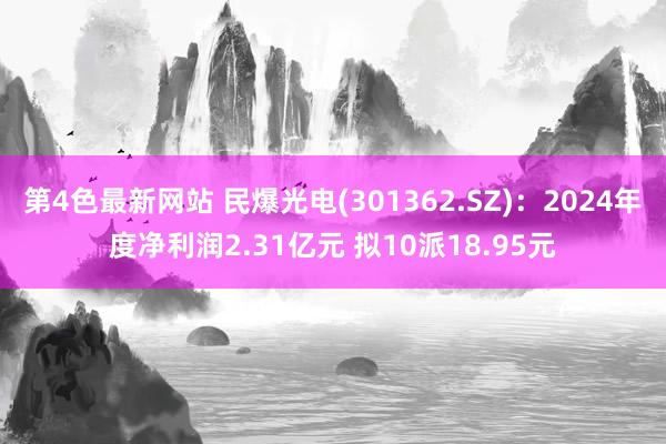 第4色最新网站 民爆光电(301362.SZ)：2024年度净利润2.31亿元 拟10派18.95元