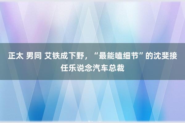 正太 男同 艾铁成下野，“最能嗑细节”的沈斐接任乐说念汽车总裁