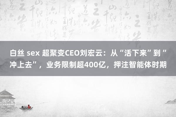 白丝 sex 超聚变CEO刘宏云：从“活下来”到“冲上去”，业务限制超400亿，押注智能体时期