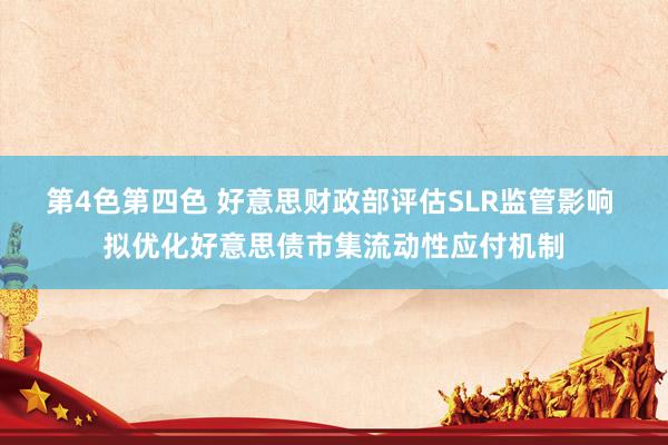 第4色第四色 好意思财政部评估SLR监管影响 拟优化好意思债市集流动性应付机制