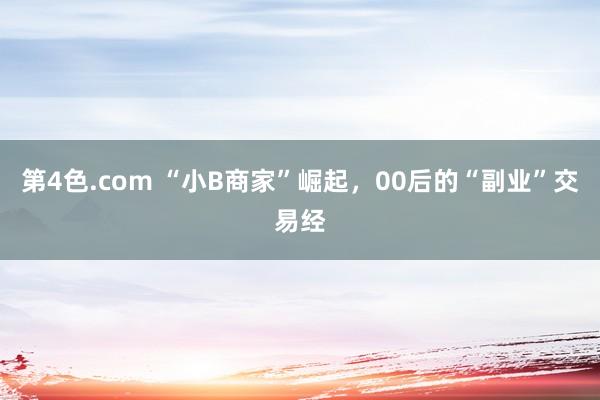 第4色.com “小B商家”崛起，00后的“副业”交易经