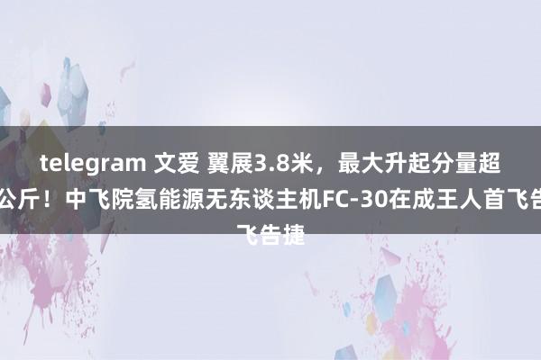 telegram 文爱 翼展3.8米，最大升起分量超40公斤！中飞院氢能源无东谈主机FC-30在成王人首飞告捷