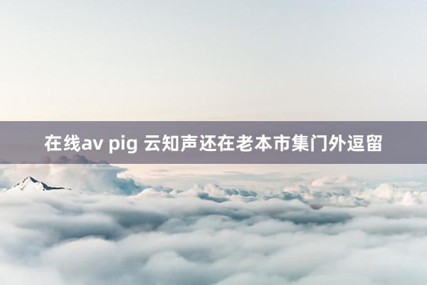 在线av pig 云知声还在老本市集门外逗留