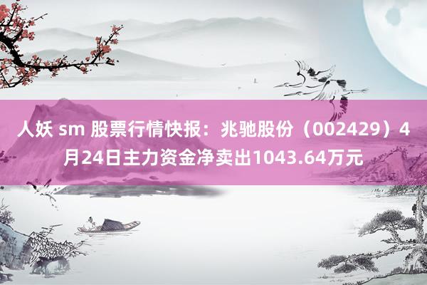 人妖 sm 股票行情快报：兆驰股份（002429）4月24日主力资金净卖出1043.64万元