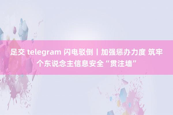 足交 telegram 闪电驳倒丨加强惩办力度 筑牢个东说念主信息安全“贯注墙”