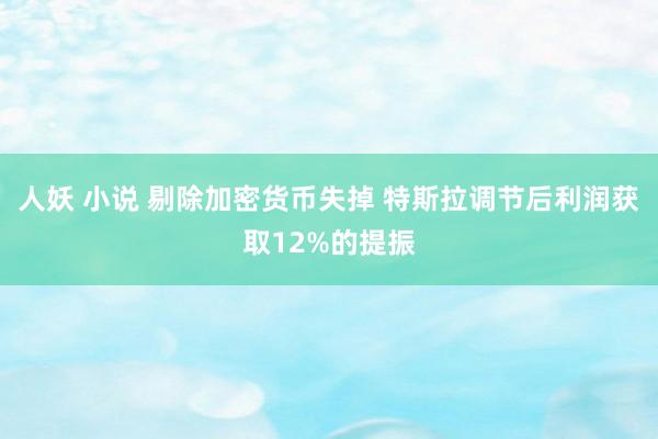 人妖 小说 剔除加密货币失掉 特斯拉调节后利润获取12%的提振