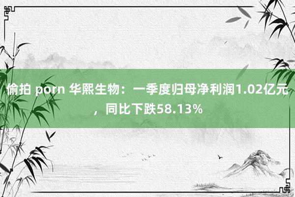 偷拍 porn 华熙生物：一季度归母净利润1.02亿元，同比下跌58.13%